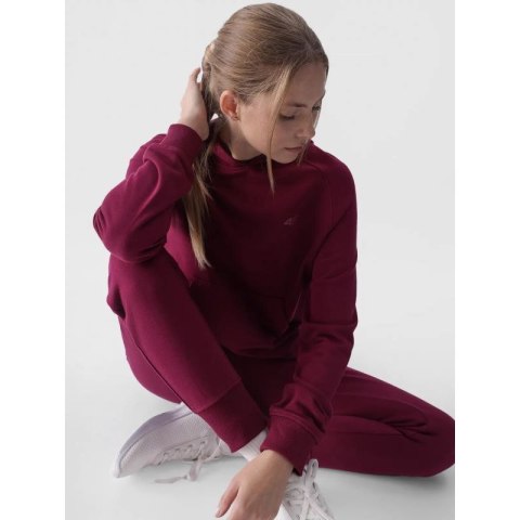 Bluza 4F W 4FWMM00TSWSF1468-51S