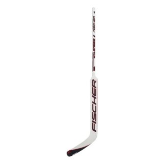 Kij bramkarski hybrydowy Fischer GF550 '24 Sr H177123,25