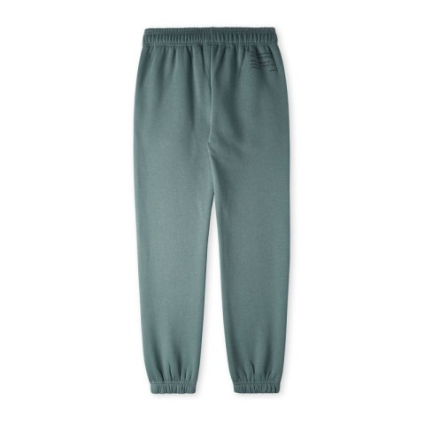 Spodnie Future Surf Jogger Jr Spodnie Future Surf Jogger Jr