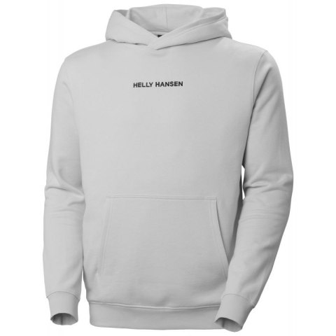 Bluza Helly Hansen Core Graphic Sweat Hoodie M 53924 825 Bluza Helly Hansen Core Graphic Sweat Hoodie M 53924 825
