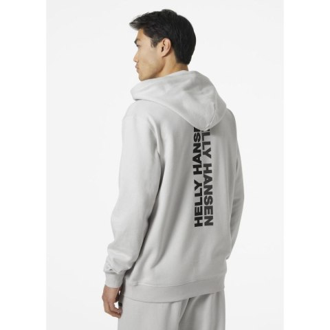 Bluza Helly Hansen Core Graphic Sweat Hoodie M 53924 825 Bluza Helly Hansen Core Graphic Sweat Hoodie M 53924 825