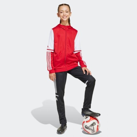 Bluza adidas Squadra 25 Hoodie Jr JD4801