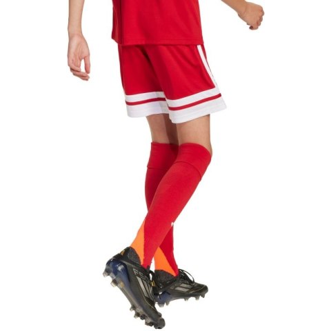 Spodenki adidas Squadra 25 Jr JJ2416