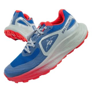 Buty Salomon Glide Max TR Run The Alps 473856