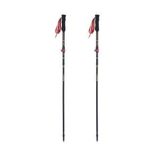 Kije trekkingowe Viking Kettera Pro Lady Trekking 610-25-7713-0946-UNI