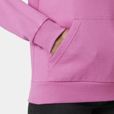 Bluza Helly Hansen Core Graphic Hoodie W 54239 089 Bluza Helly Hansen Core Graphic Hoodie W 54239 089