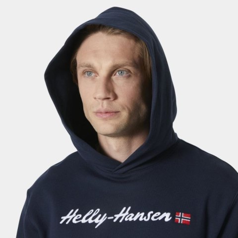 Bluza Helly Hansen Core Graphic Sweat Hoodie M 53924 596 Bluza Helly Hansen Core Graphic Sweat Hoodie M 53924 596