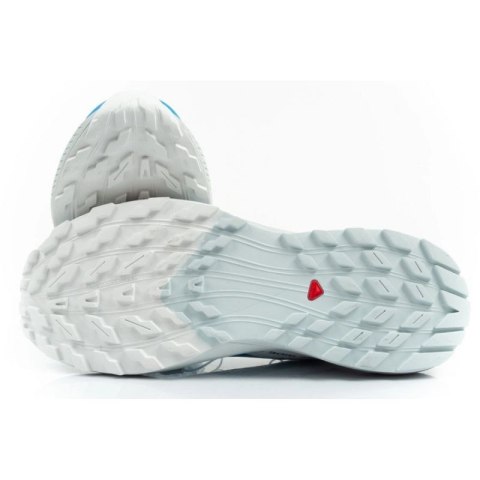 Buty do biegania Salomon Sense Ride 5 M 475167