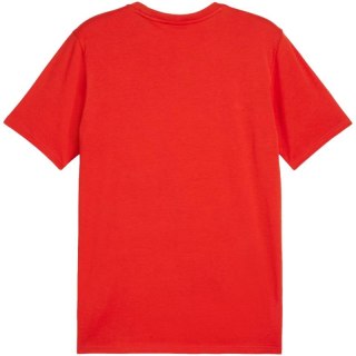 Koszulka Puma Team Goal Casuals Tee M 658615 01