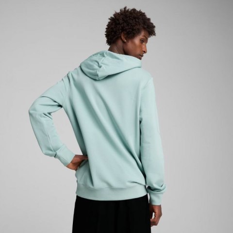 Bluza Puma Ess 2 Color Small No.1 Logo Hoodie TR M 684719 67 Bluza Puma Ess 2 Color Small No.1 Logo Hoodie TR M 684719 67