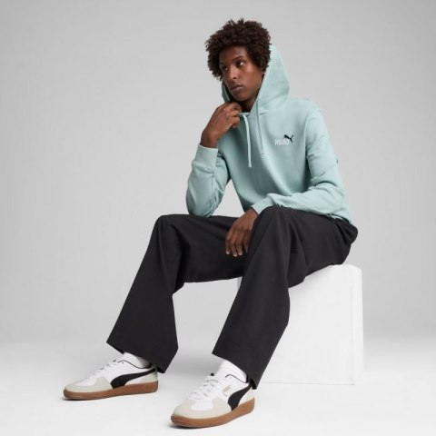 Bluza Puma Ess 2 Color Small No.1 Logo Hoodie TR M 684719 67 Bluza Puma Ess 2 Color Small No.1 Logo Hoodie TR M 684719 67