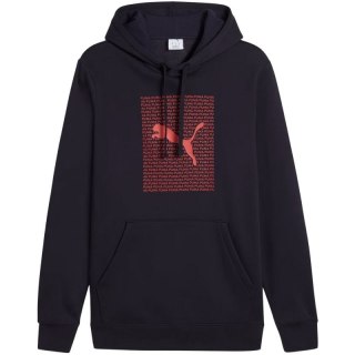 Bluza Puma Ess Logo Lab Hoodie FL M 684669 16