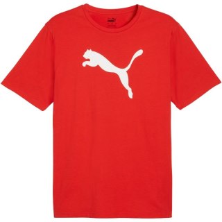 Koszulka Puma Team Rise Logo Jersey Cotton M 658705 01