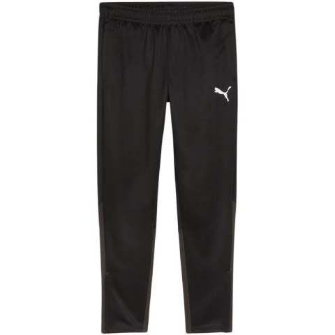 Spodnie Puma Team Goal Training M 658639 03