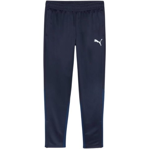 Spodnie Puma Team Goal Training M 658639 06