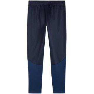 Spodnie Puma Team Goal Training M 658639 06