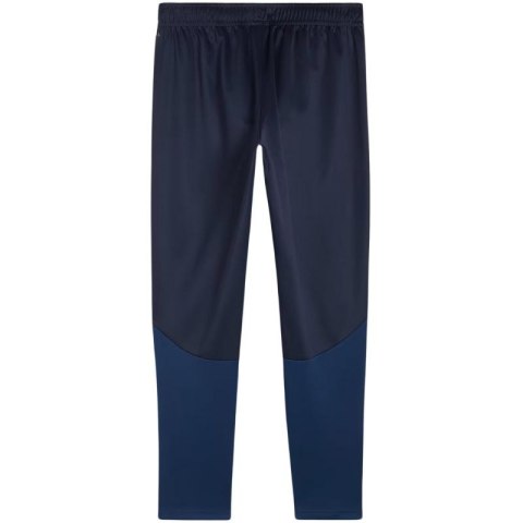 Spodnie Puma Team Goal Training M 658639 06