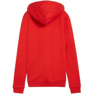 Bluza Puma Team Goal Casuals Hoody W 658621 01