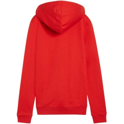 Bluza Puma Team Goal Casuals Hoody W 658621 01 Bluza Puma Team Goal Casuals Hoody W 658621 01