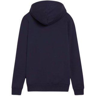 Bluza Puma Team Goal Casuals Hoody W 658621 06