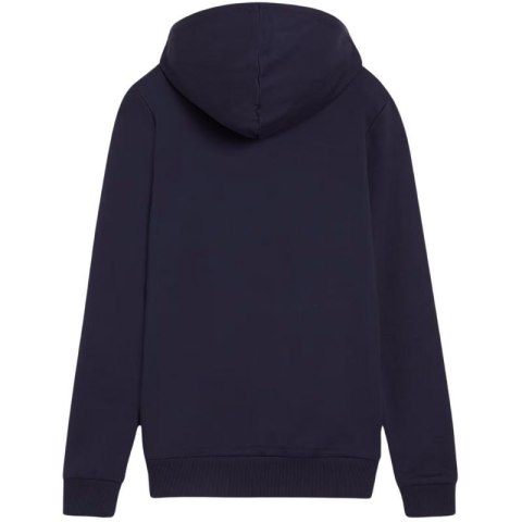 Bluza Puma Team Goal Casuals Hoody W 658621 06