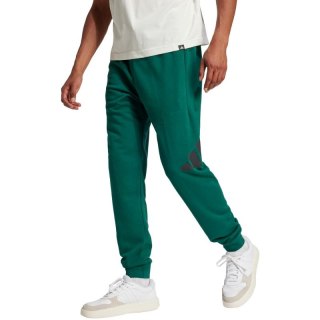 Spodnie adidas Essentials Big Logo French Terry M JE8971