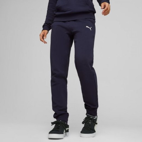 Spodnie Puma Team Goal Casuals W 658604 06