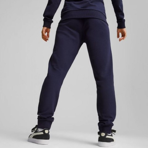 Spodnie Puma Team Goal Casuals W 658604 06