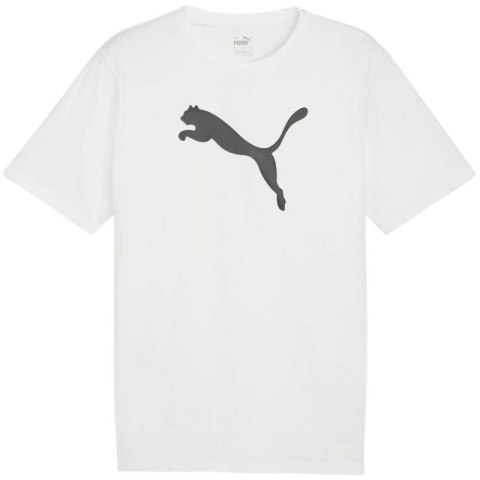 Koszulka Puma Team Rise Logo Jersey Cotton M 658705 04