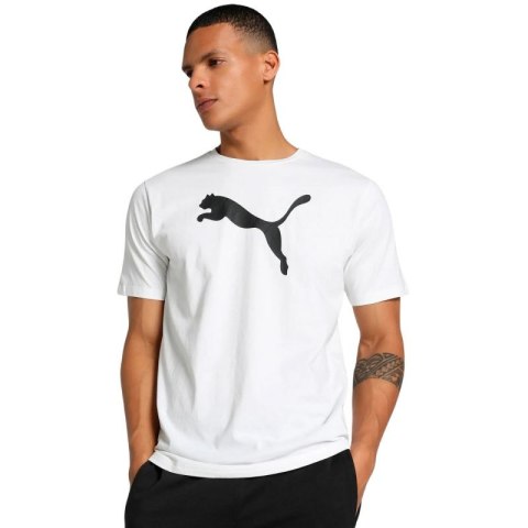 Koszulka Puma Team Rise Logo Jersey Cotton M 658705 04