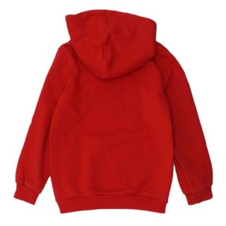 Bluza Puma DCT Hoodie Jr 849258 11