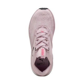 Buty do biegania Puma Softride Mayve W 310160 17