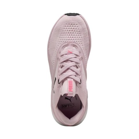 Buty do biegania Puma Softride Mayve W 310160 17 Buty do biegania Puma Softride Mayve W 310160 17