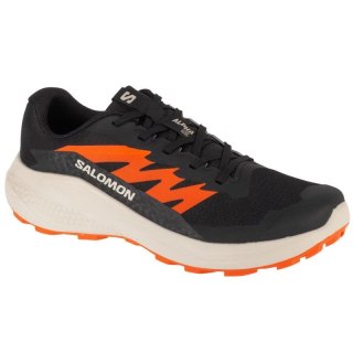 Buty do biegania Salomon Alphaglide M L47801100