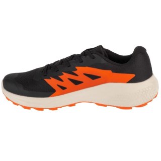 Buty do biegania Salomon Alphaglide M L47801100