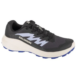 Buty do biegania Salomon Alphaglide W L47801800
