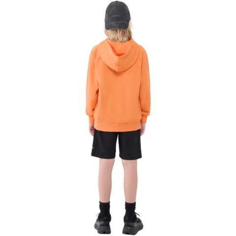 Bluza 4F M1712 Jr 4FJWSS25TSWSM1712 70S Bluza 4F M1712 Jr 4FJWSS25TSWSM1712 70S