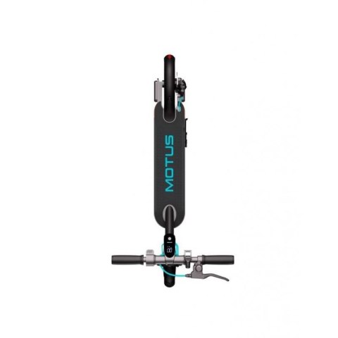 Hulajnoga Motus Scooty 8,5 Lite