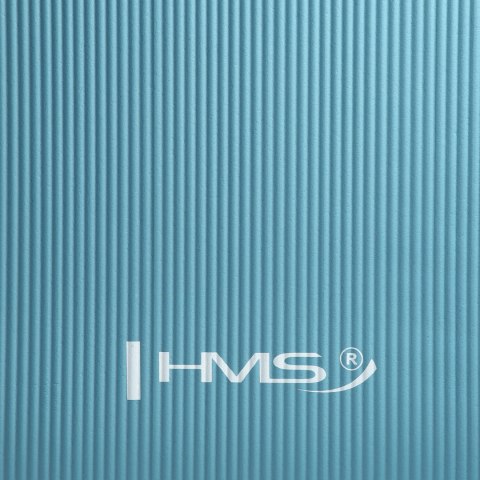 YM07 BLUE MATA DO JOGI HMS