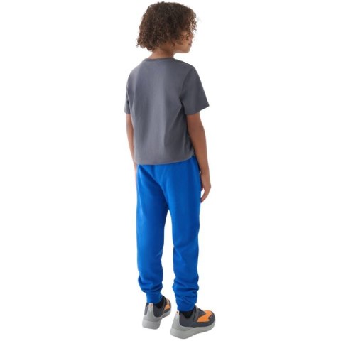 Spodnie 4F M0810 Jr 4FJWMM00TTROM0810 36S