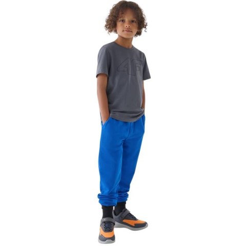 Spodnie 4F M0810 Jr 4FJWMM00TTROM0810 36S