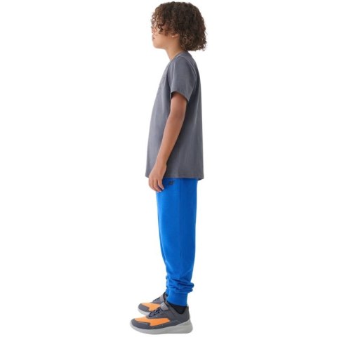 Spodnie 4F M0810 Jr 4FJWMM00TTROM0810 36S
