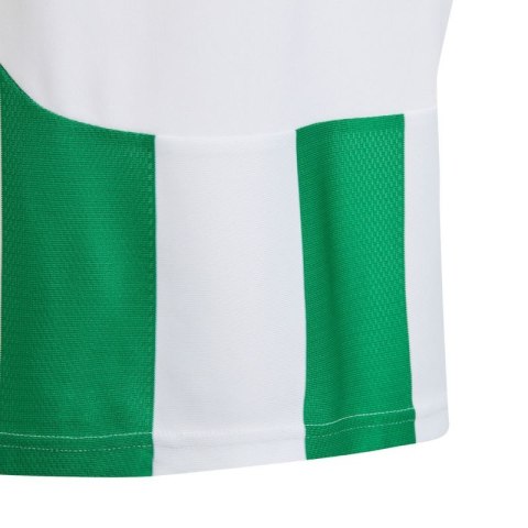 Koszulka adidas Striped 24 Jr IW2138 Koszulka adidas Striped 24 Jr IW2138