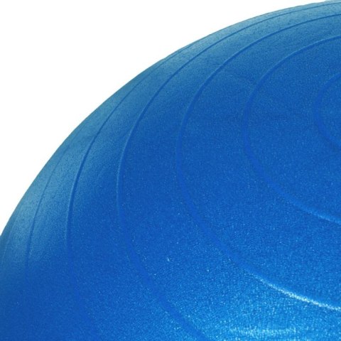 Piłka gimnastyczna Profit 65cm z pompką DK 2102