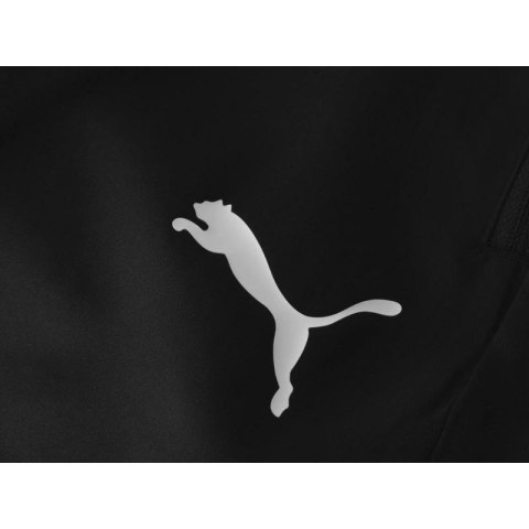 Spodnie dresowe Puma Liga M 655317 03