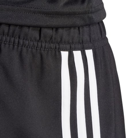 Spodenki adidas Tastigo 25 M JN7155