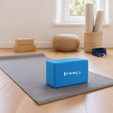 KJ01 KOSTKA DO JOGI BLUE HMS