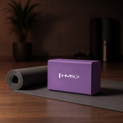 KJ01 KOSTKA DO JOGI PURPLE HMS