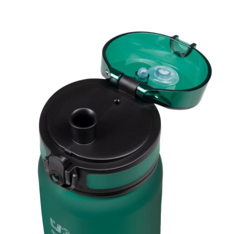 Butelka trytanowa Alpinus Trysil 650 ml Active UZ11056