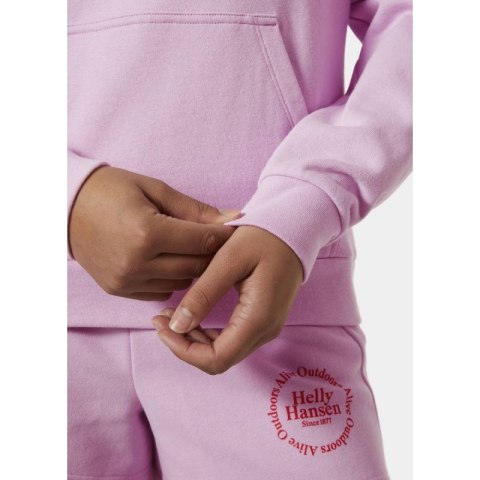 Bluza Helly Hansen Core Graphic Hoodie W 54239 052